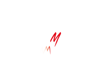 Wenzl Motors Logo Weiß