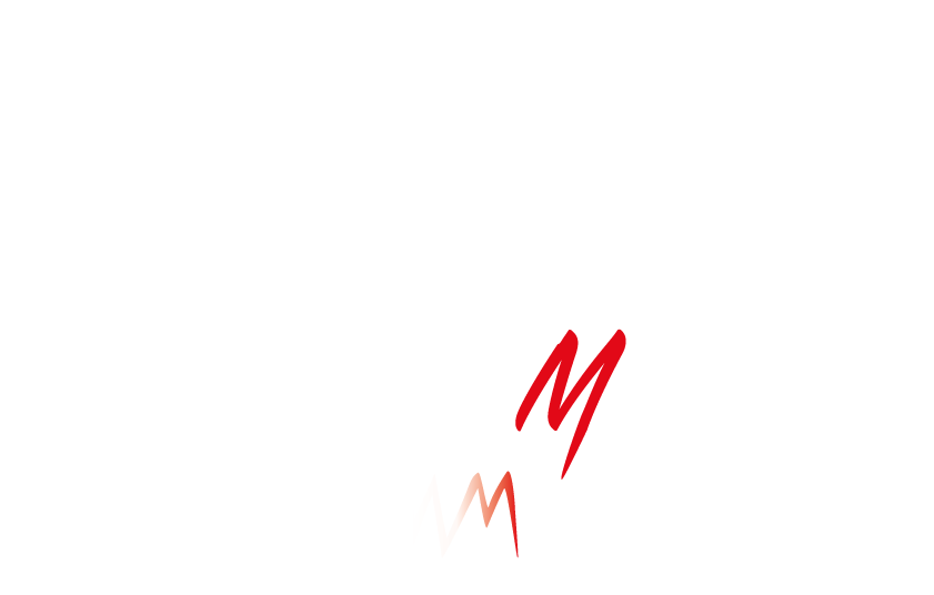 Wenzl Motors Logo Weiß